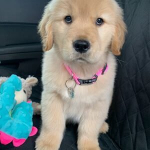 Molly