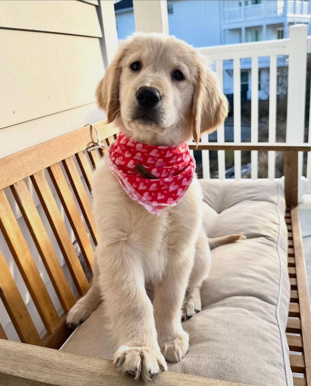 Sophie