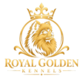 royalgoldenkennels.com